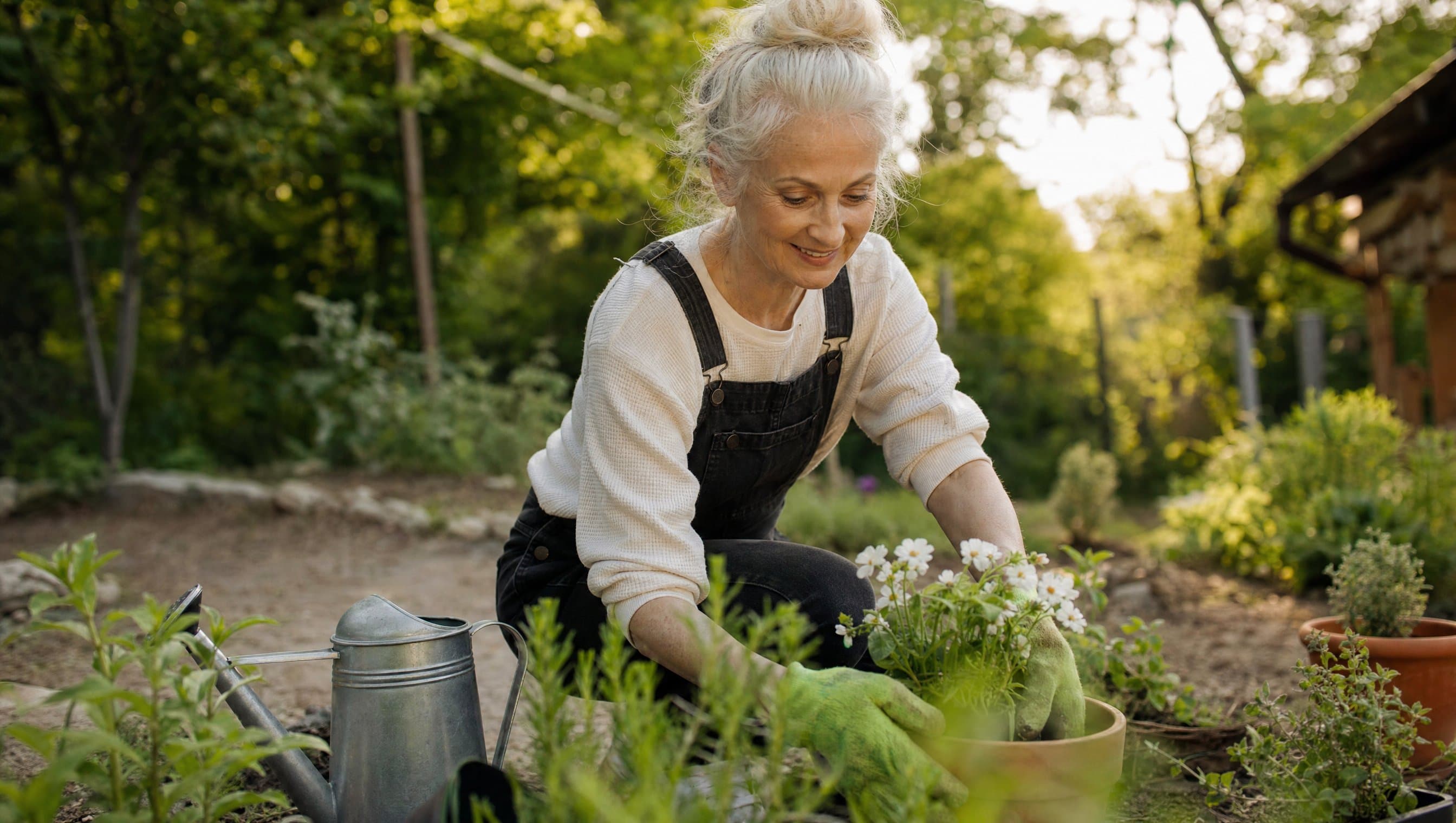An older adult gardening outdoors